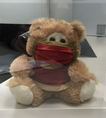 Masked Teddy Bear (Staying Safe)